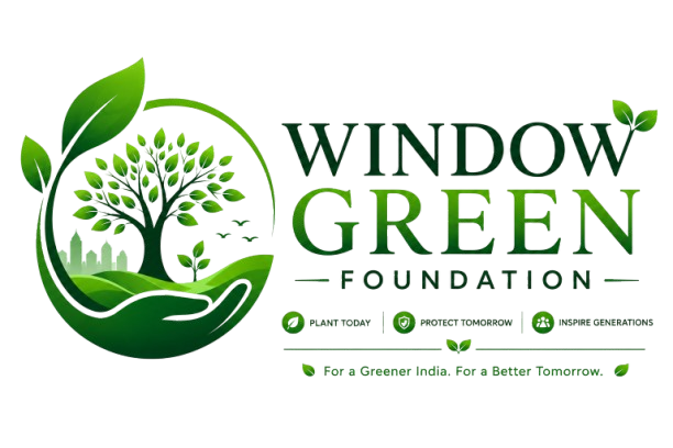 Window Green Logo